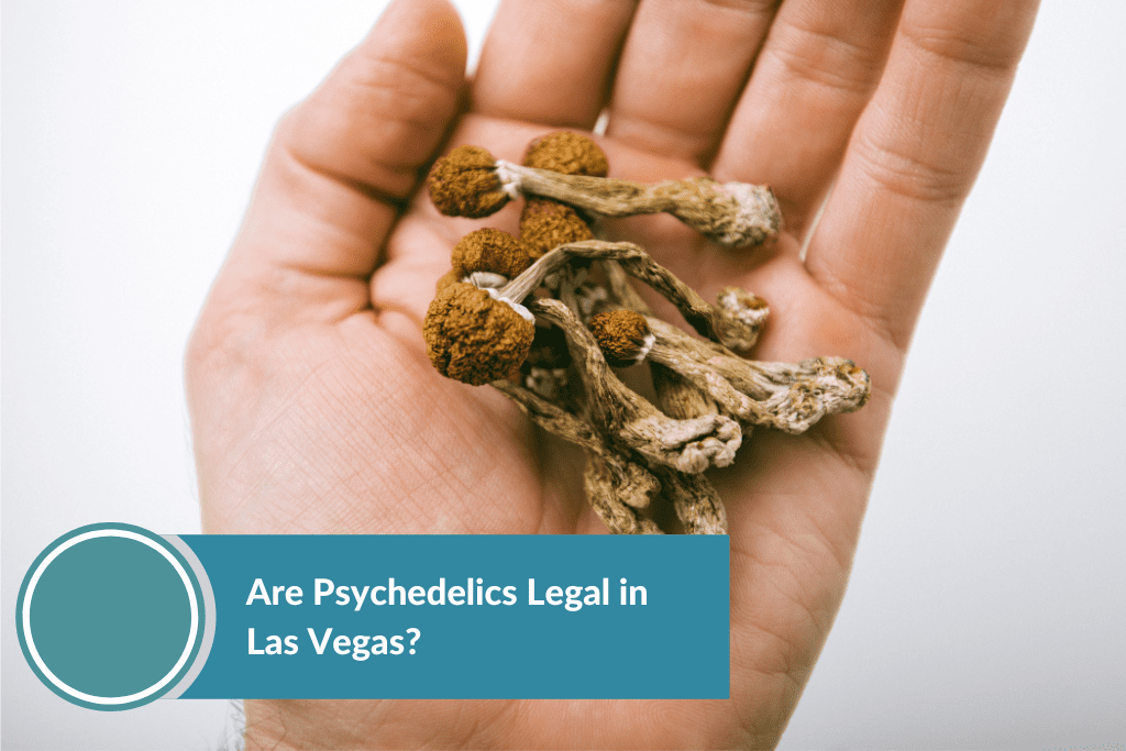 psilocybin found in magic mushroom is prohibited in Las Vegas, Nevada
